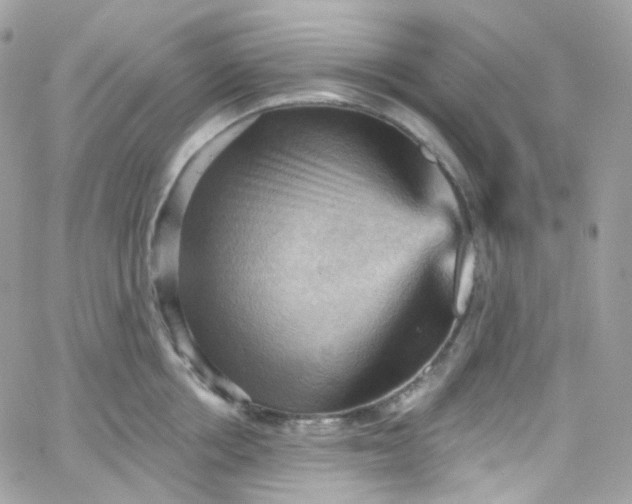 X0000066090858200603241455