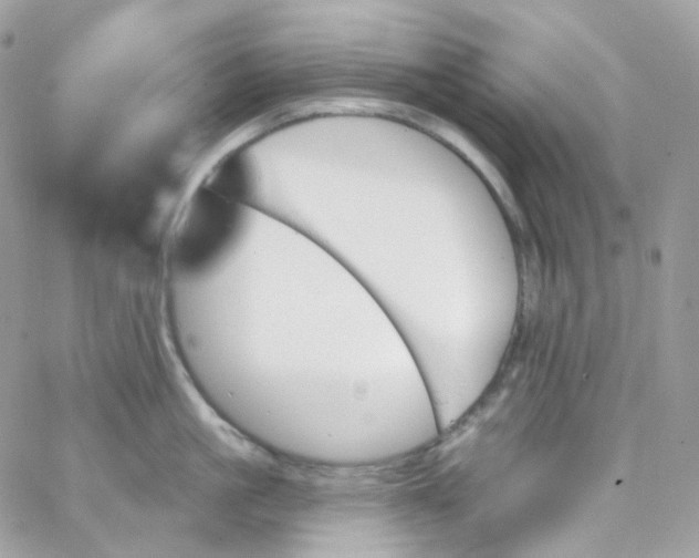 X0000066090861200603241455