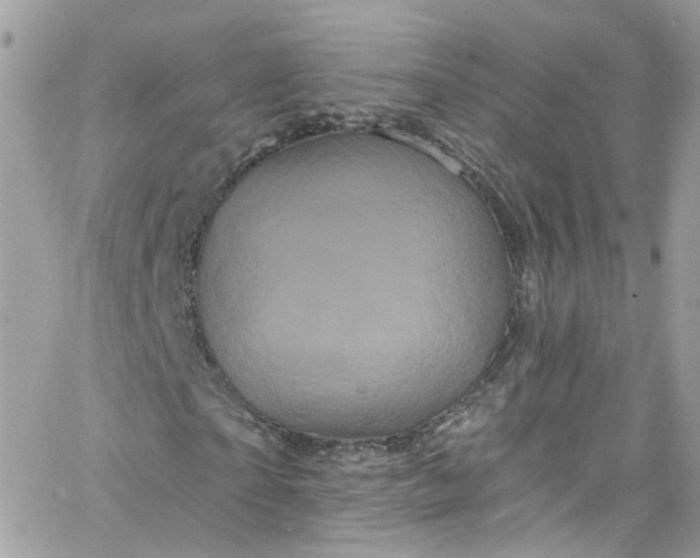 X0000066090865200603241454