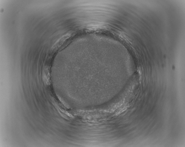 X0000066090868200603241454