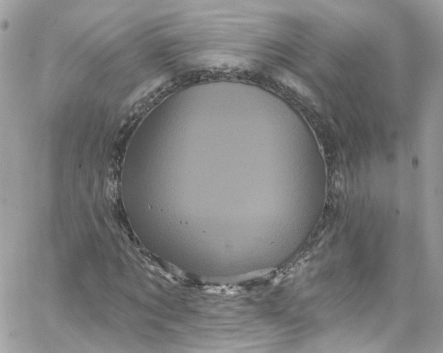 X0000066090869200603241454