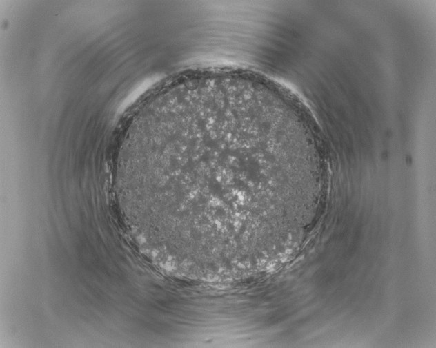 X0000066090871200603241454