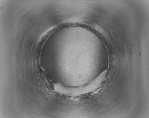 X0000066090872200603241454