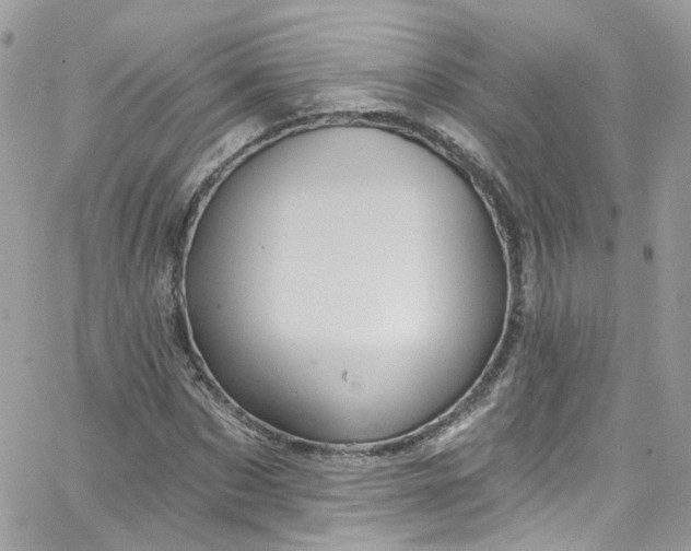 X0000066090873200603241454