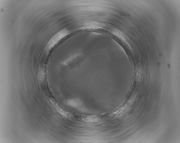 X0000066090874200603241454