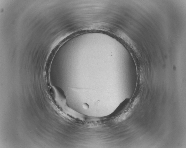 X0000066090876200603241454