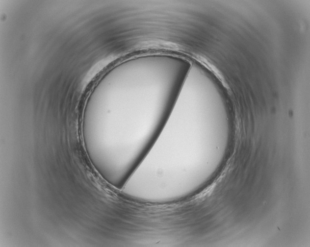 X0000066090877200603241454