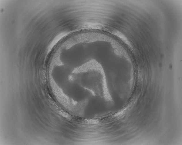 X0000066090878200603241454