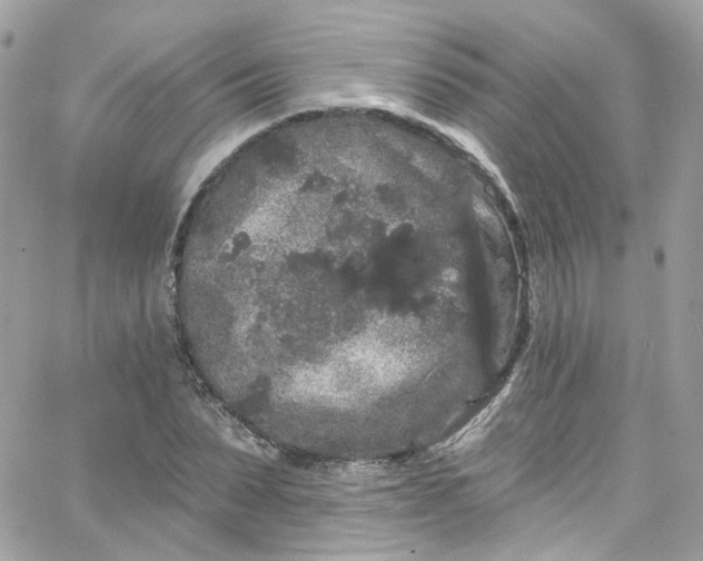 X0000066090879200603241454