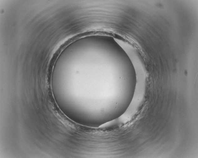 X0000066090880200603241454