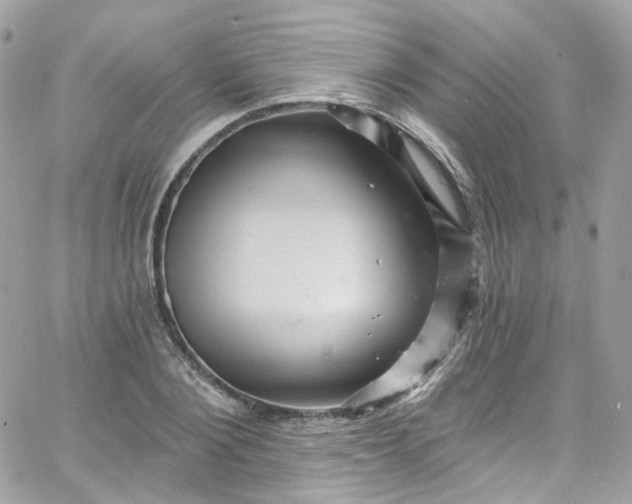 X0000066090884200603241454