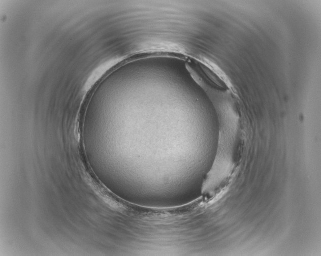 X0000066090885200603241454