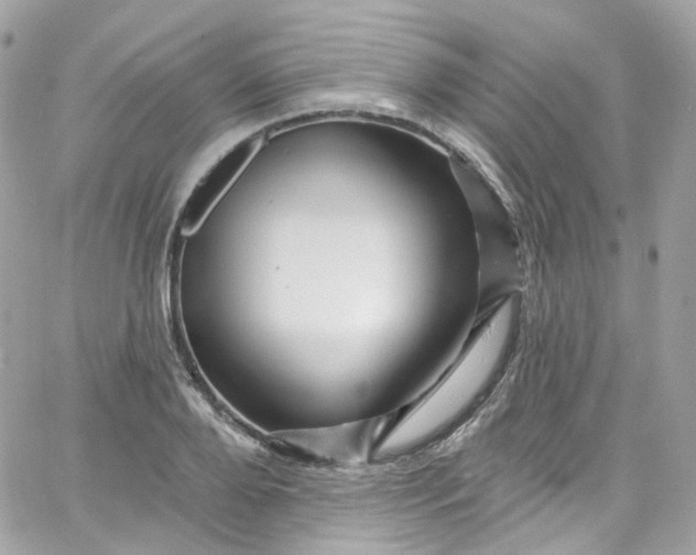 X0000066090888200603241454