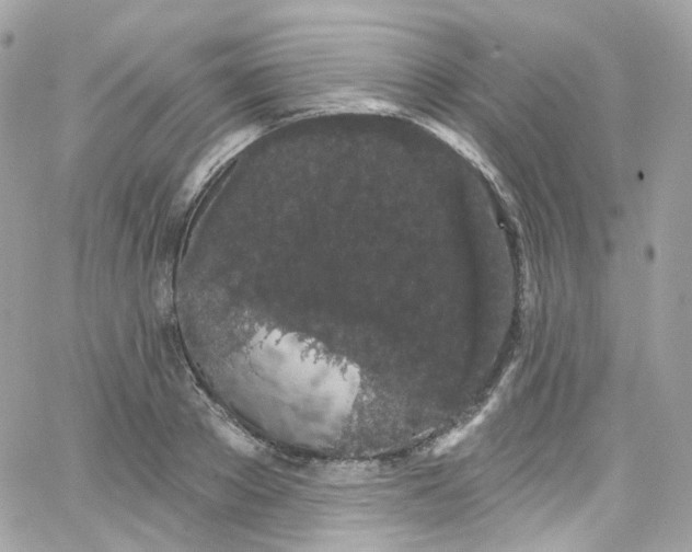 X0000066090889200603241454