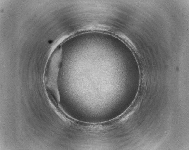 X0000066090893200603241454