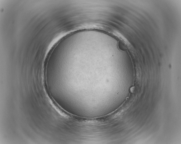 X0000066090894200603241454