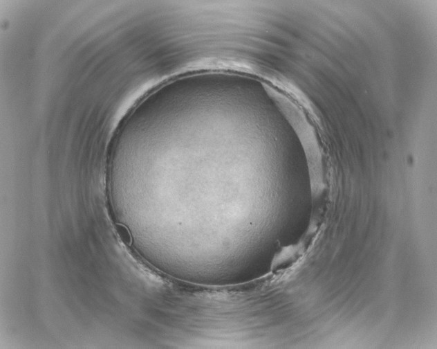 X0000066090896200603241454