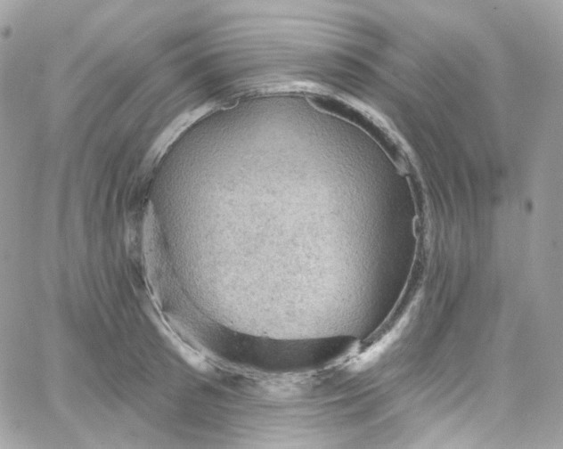 X0000066090897200603241454