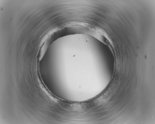 X0000066090898200603241454