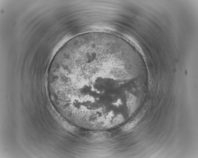 X0000066090899200603241454