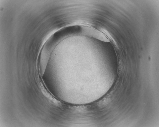 X0000066090900200603241454