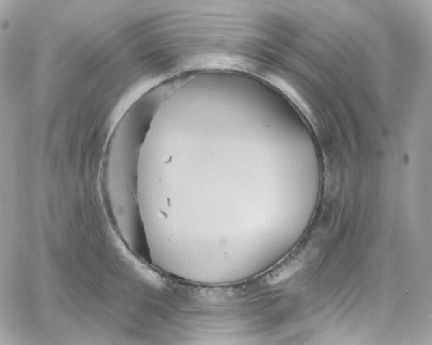 X0000066090901200603241454