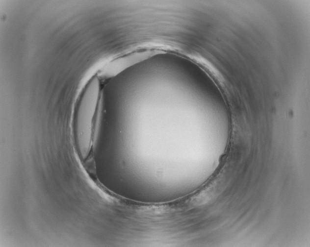 X0000066090902200603241454