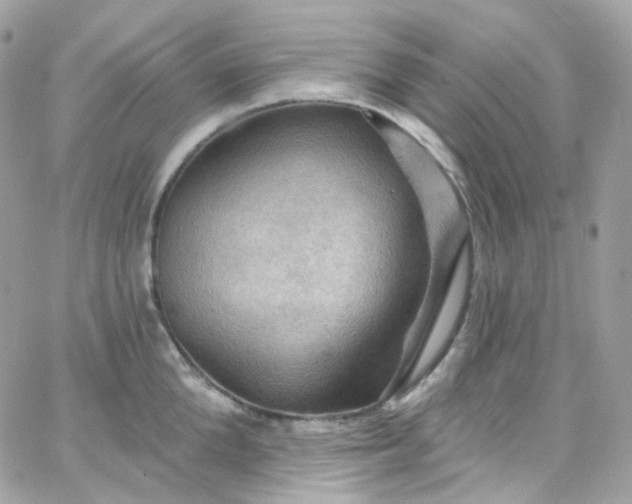 X0000066090904200603241454