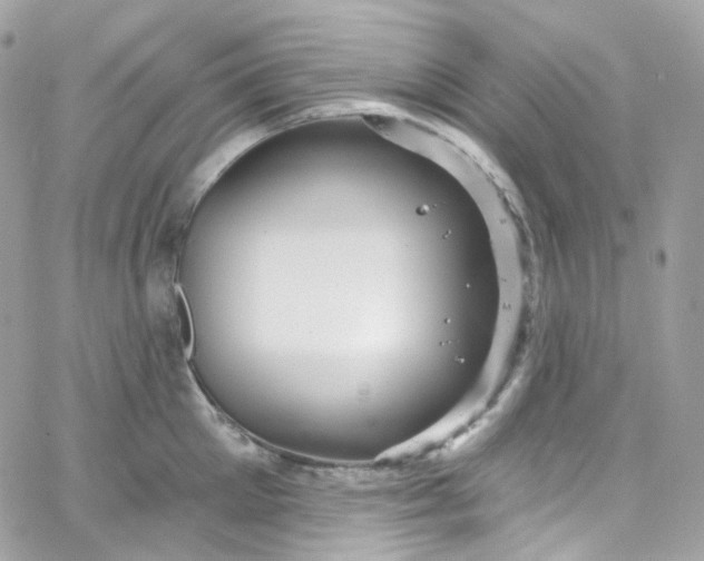 X0000066090905200603241454