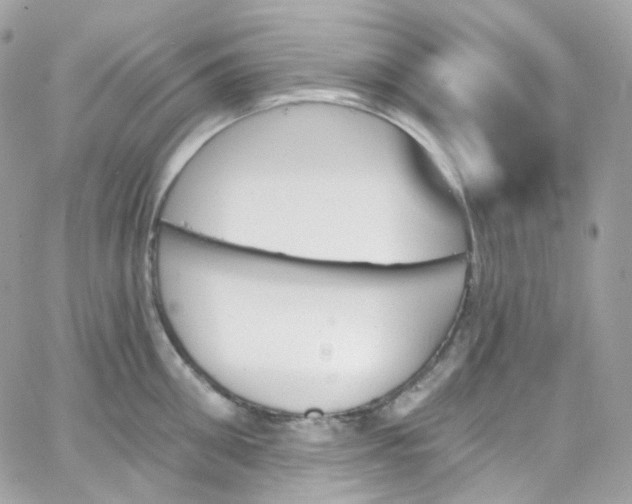 X0000066090906200603241454