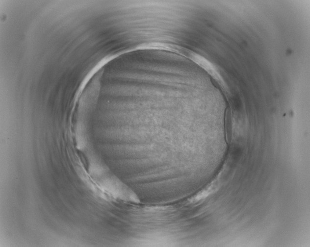 X0000066090908200603241454