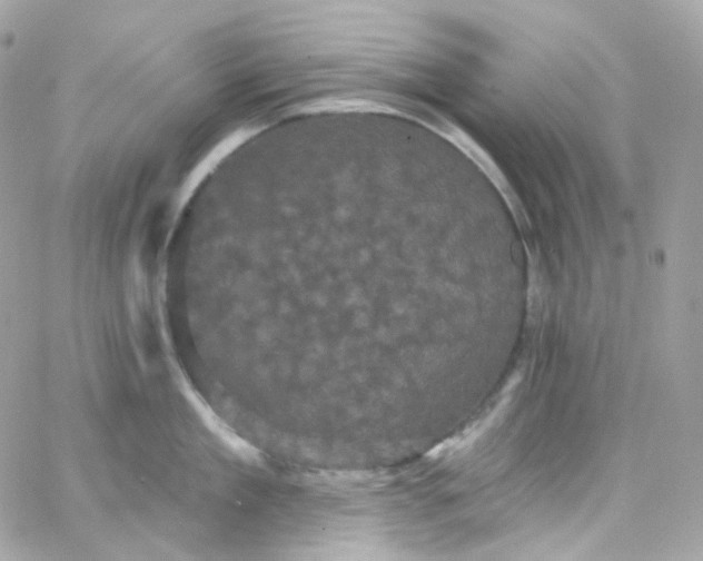 X0000066090909200603241454