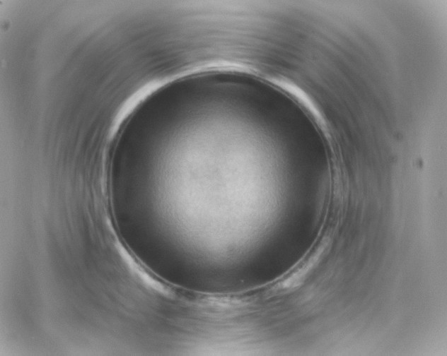 X0000066090910200603241454