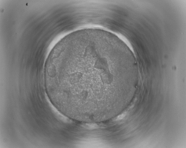 X0000066090911200603241454