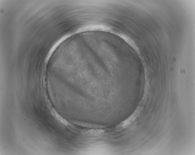 X0000066090912200603241454