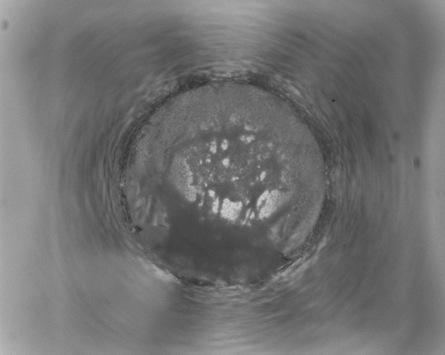 X0000066090913200603241453