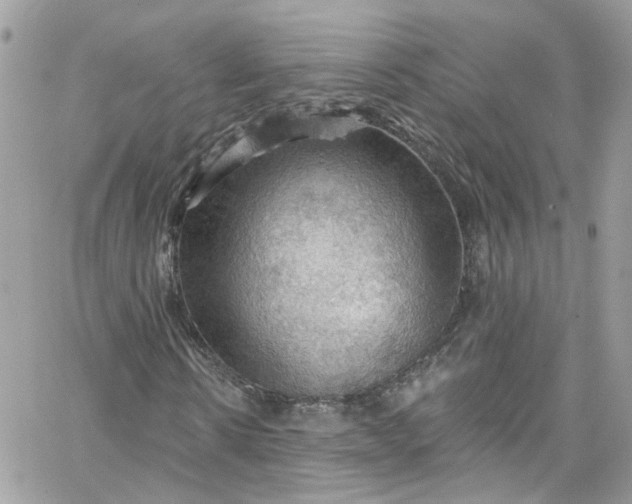 X0000066090914200603241453