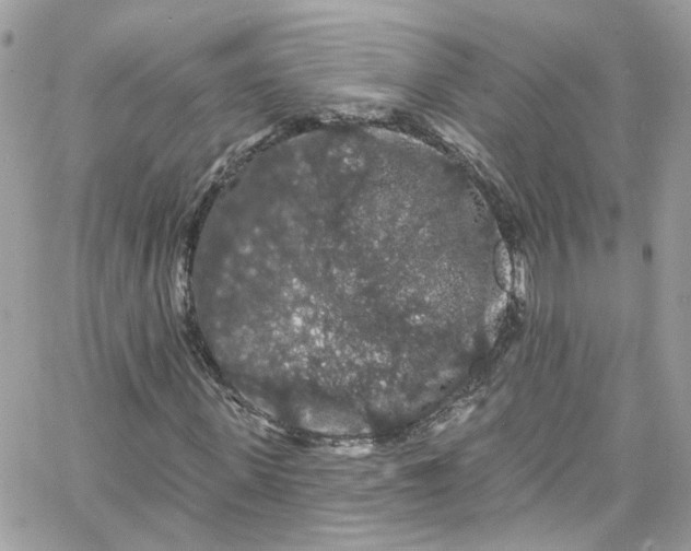 X0000066090915200603241453