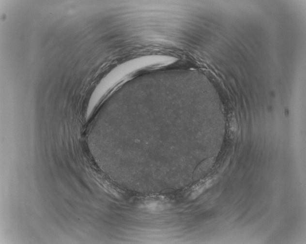 X0000066090916200603241453