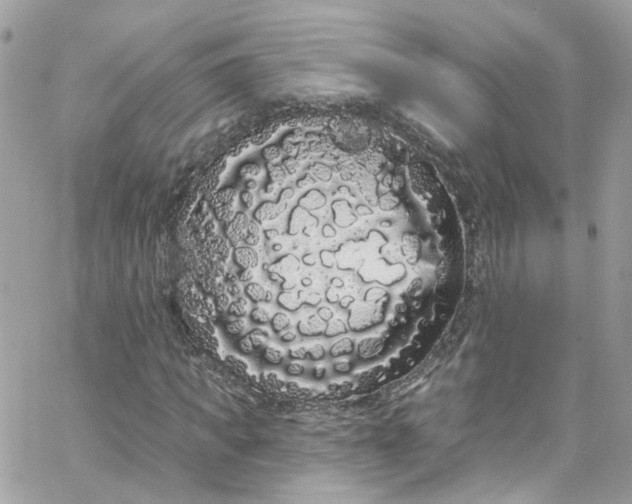 X0000066090917200603241453