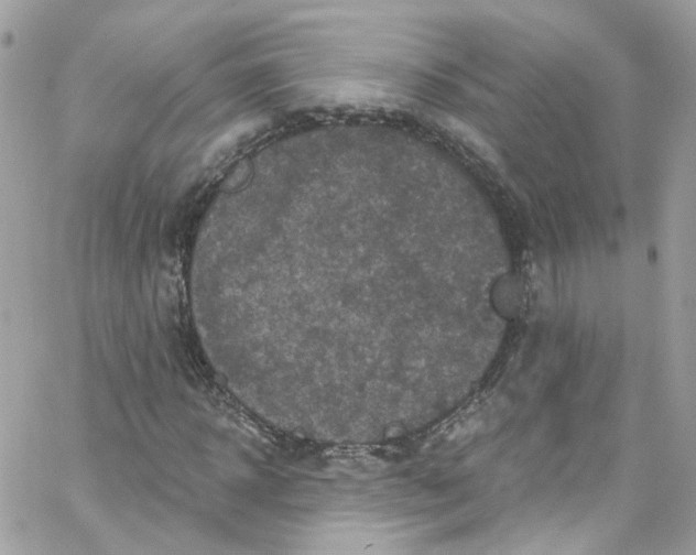 X0000066090918200603241453