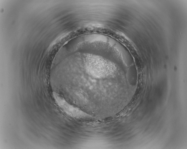 X0000066090919200603241453