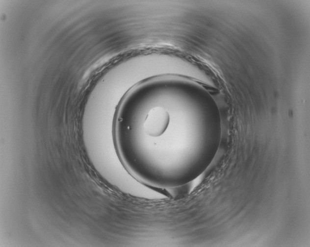 X0000066090920200603241453