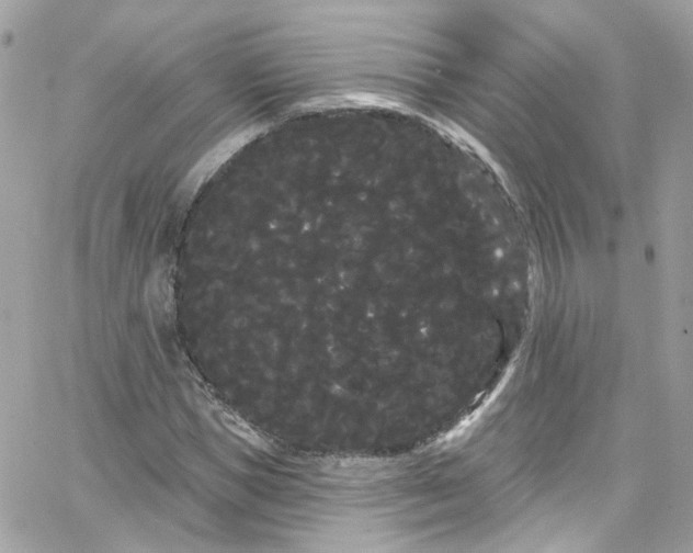 X0000066090921200603241453