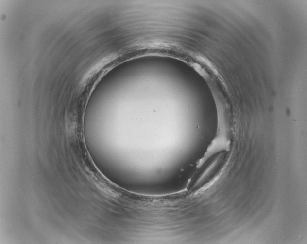 X0000066090922200603241453