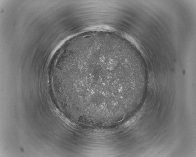 X0000066090923200603241453