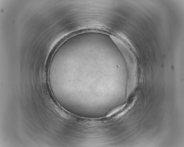 X0000066090924200603241453