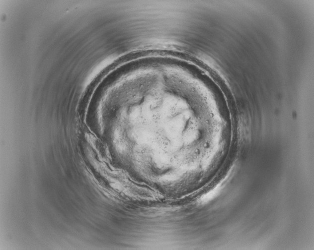 X0000066090925200603241453