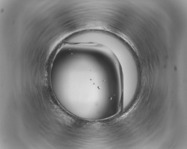 X0000066090926200603241453