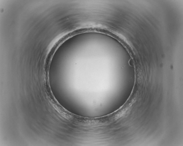 X0000066090927200603241453